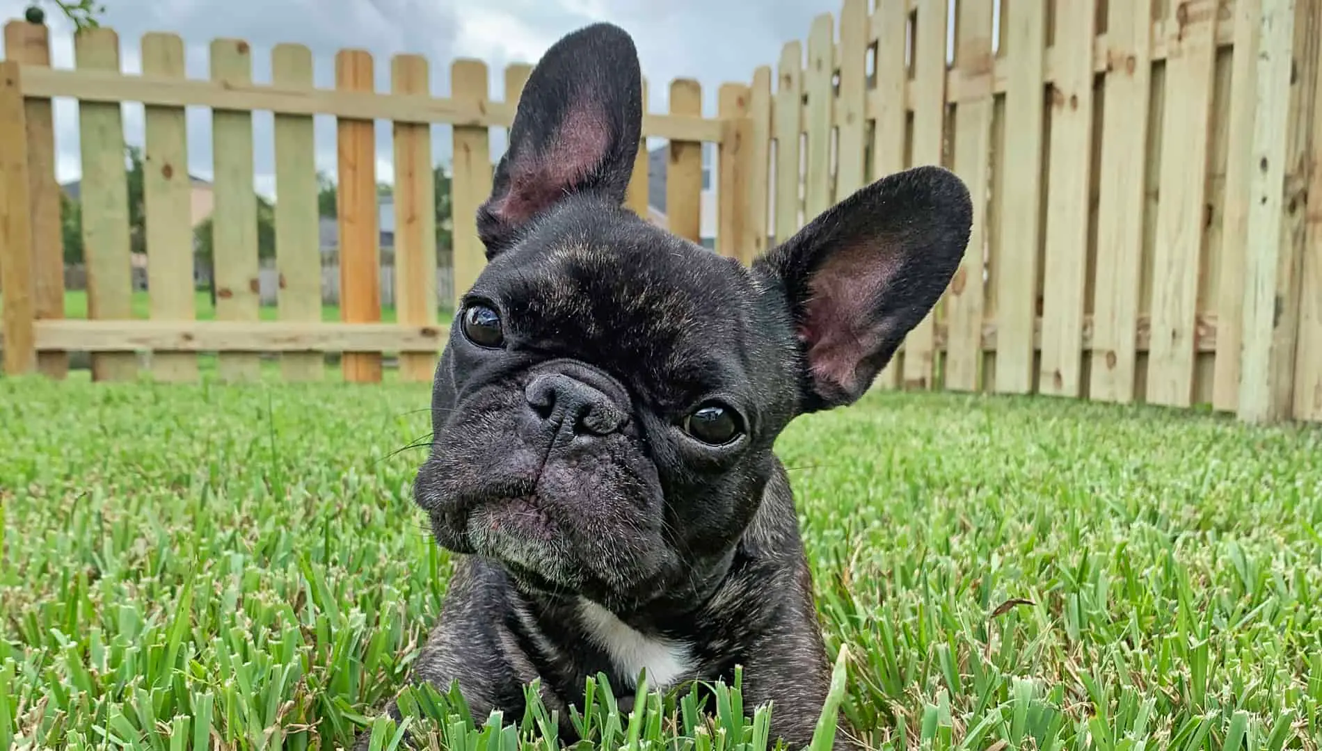 How to Tell If a Richmond Fence Company Is Reliable