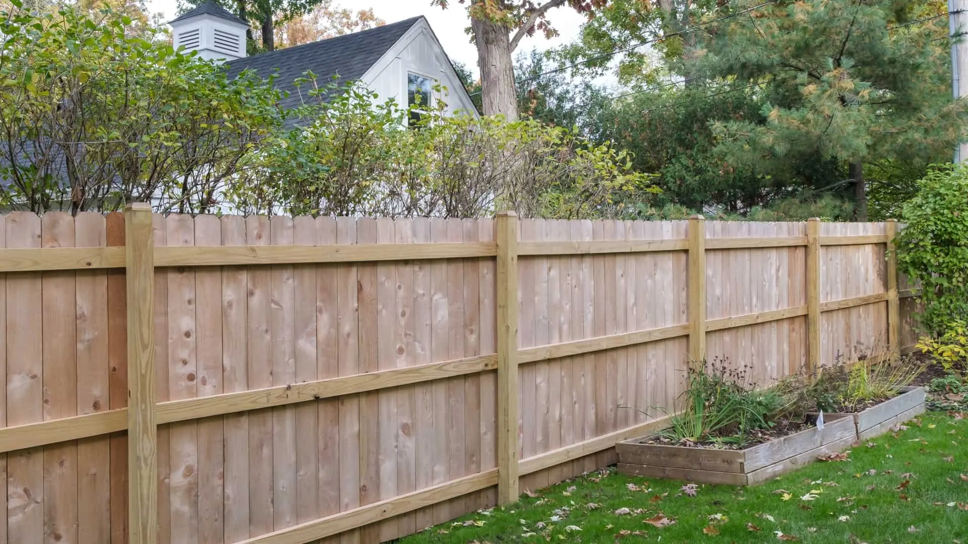 Premier Webster Fence Builder for Stunning Outdoor Spaces