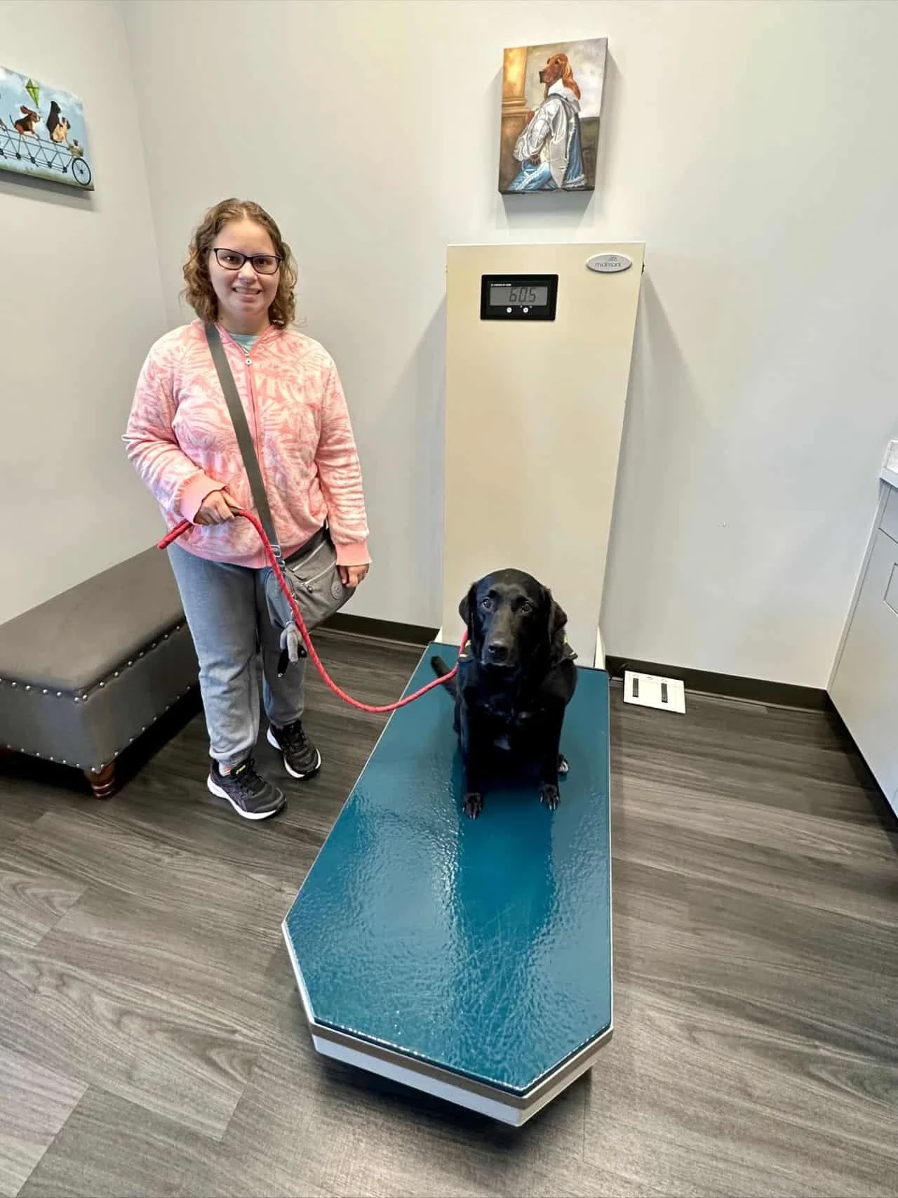 Fostering Fence-Focused Community Connections: Superior Fence & Rail’s Dedication to Local Partnerships