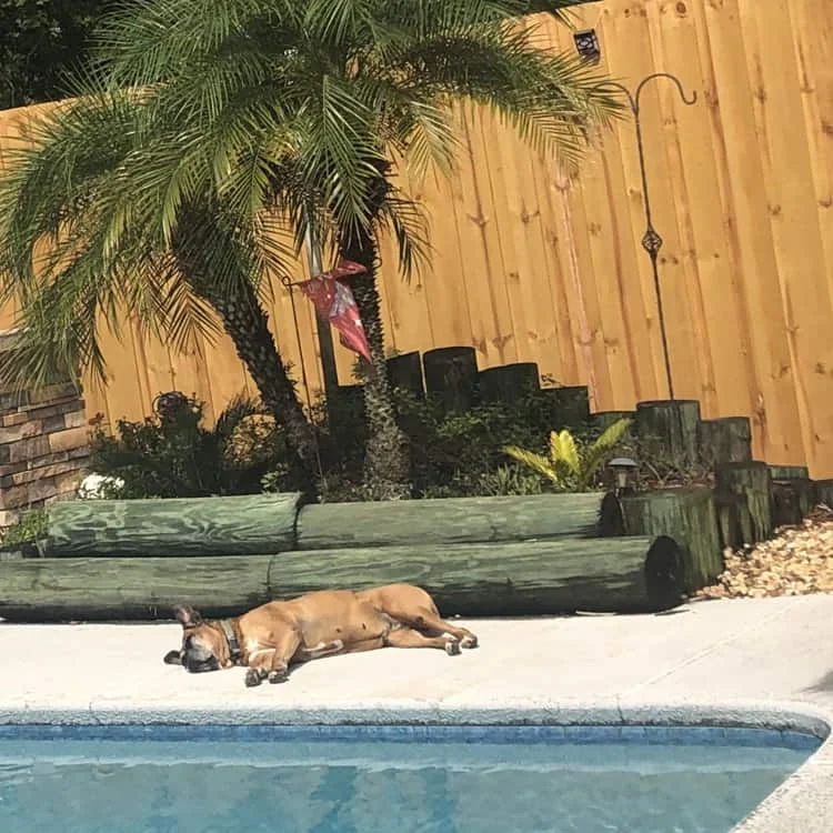 How a Sacramento Fence Builder Calculates the Cost of Your Project