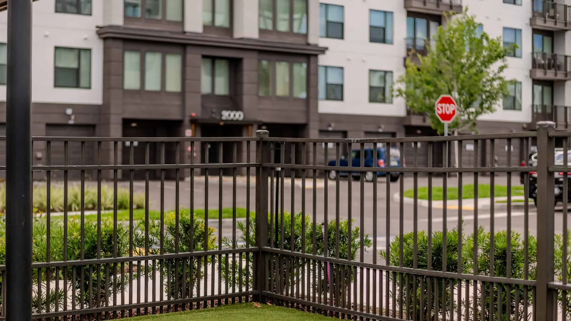 We’re the Name to Trust for Your New Puppy Picket Fence – Aluminum