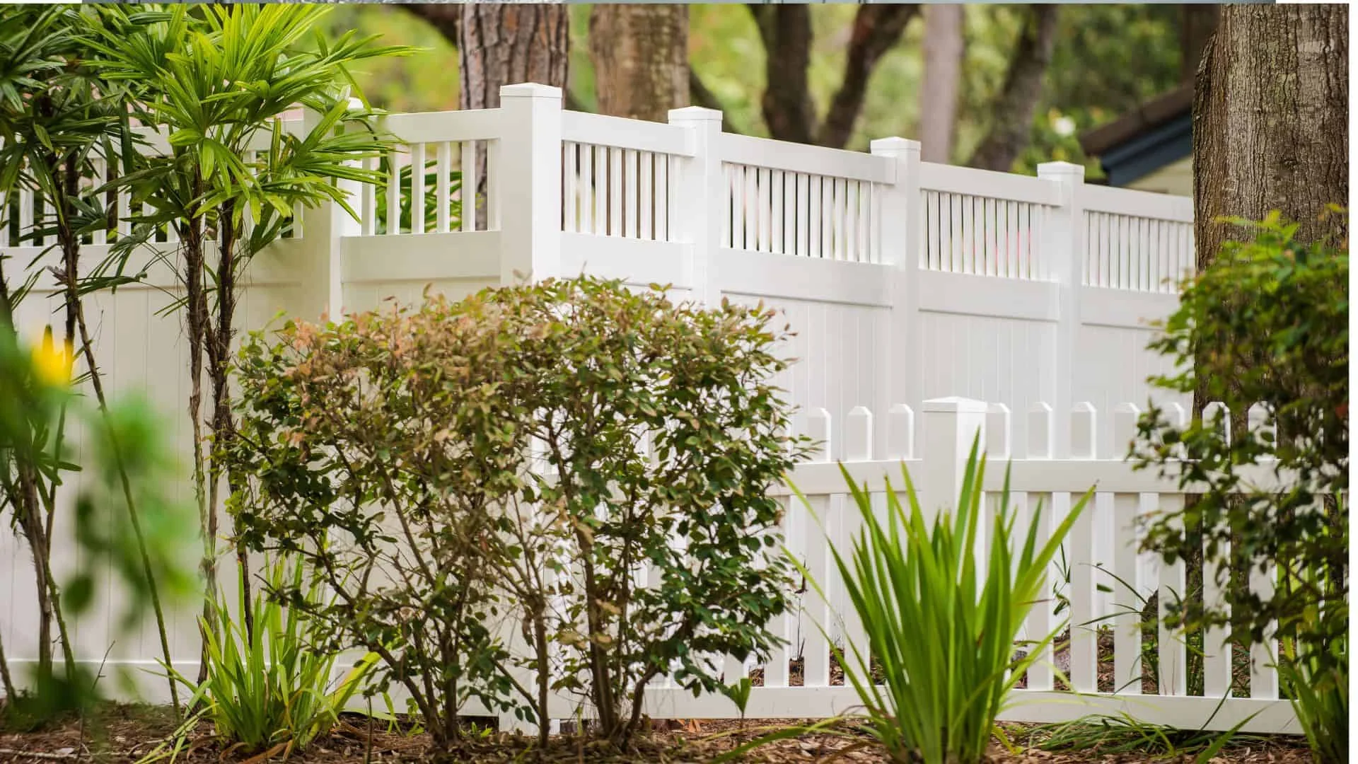 Albany Fence Installers