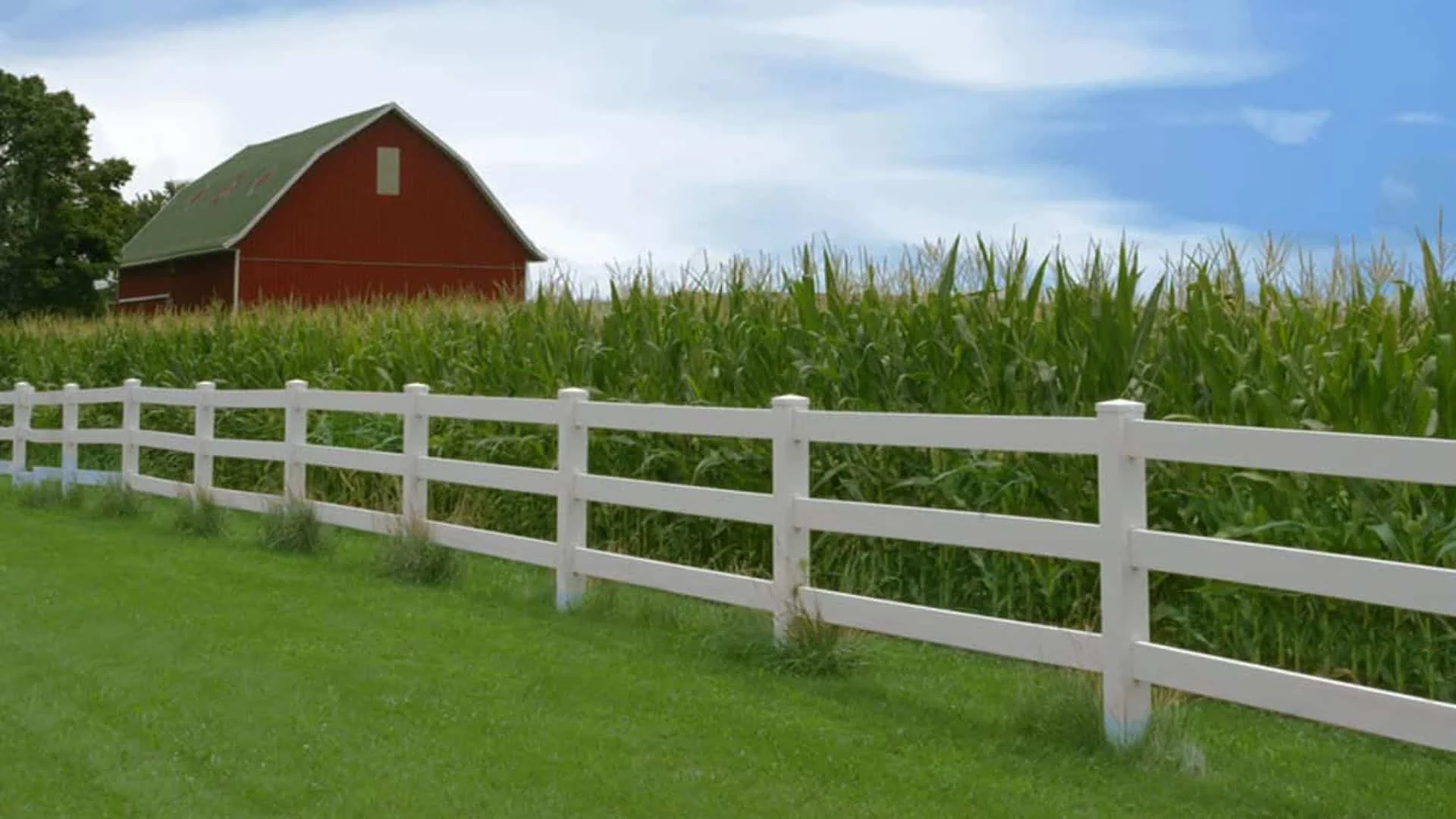 Superior Fence & Rail Offers Safe Alternatives To Barbed Wire Fencing