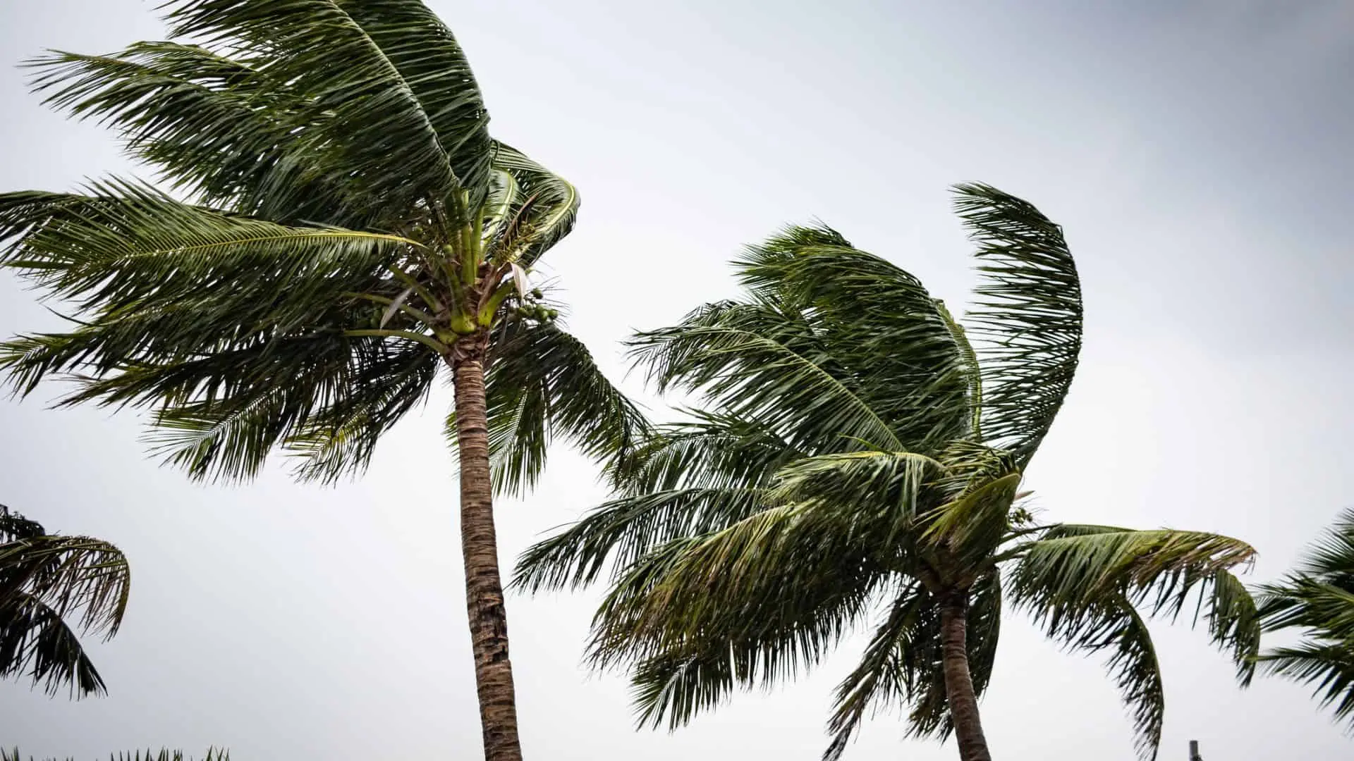 Are You Thinking Of Installing A Hurricane Fence