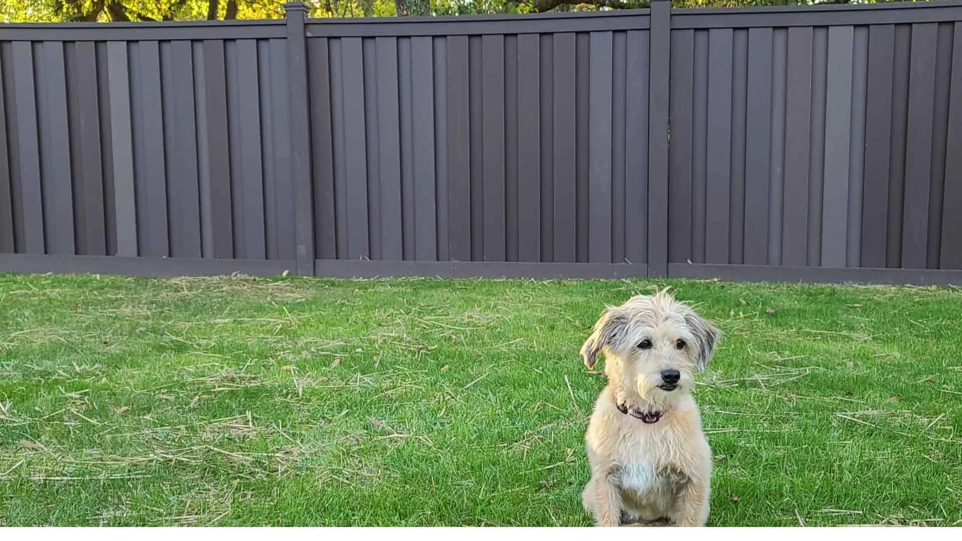 If You’re Looking For Composite Fence Near Me, It’s Superior Fence & Rail Of Salt Lake City