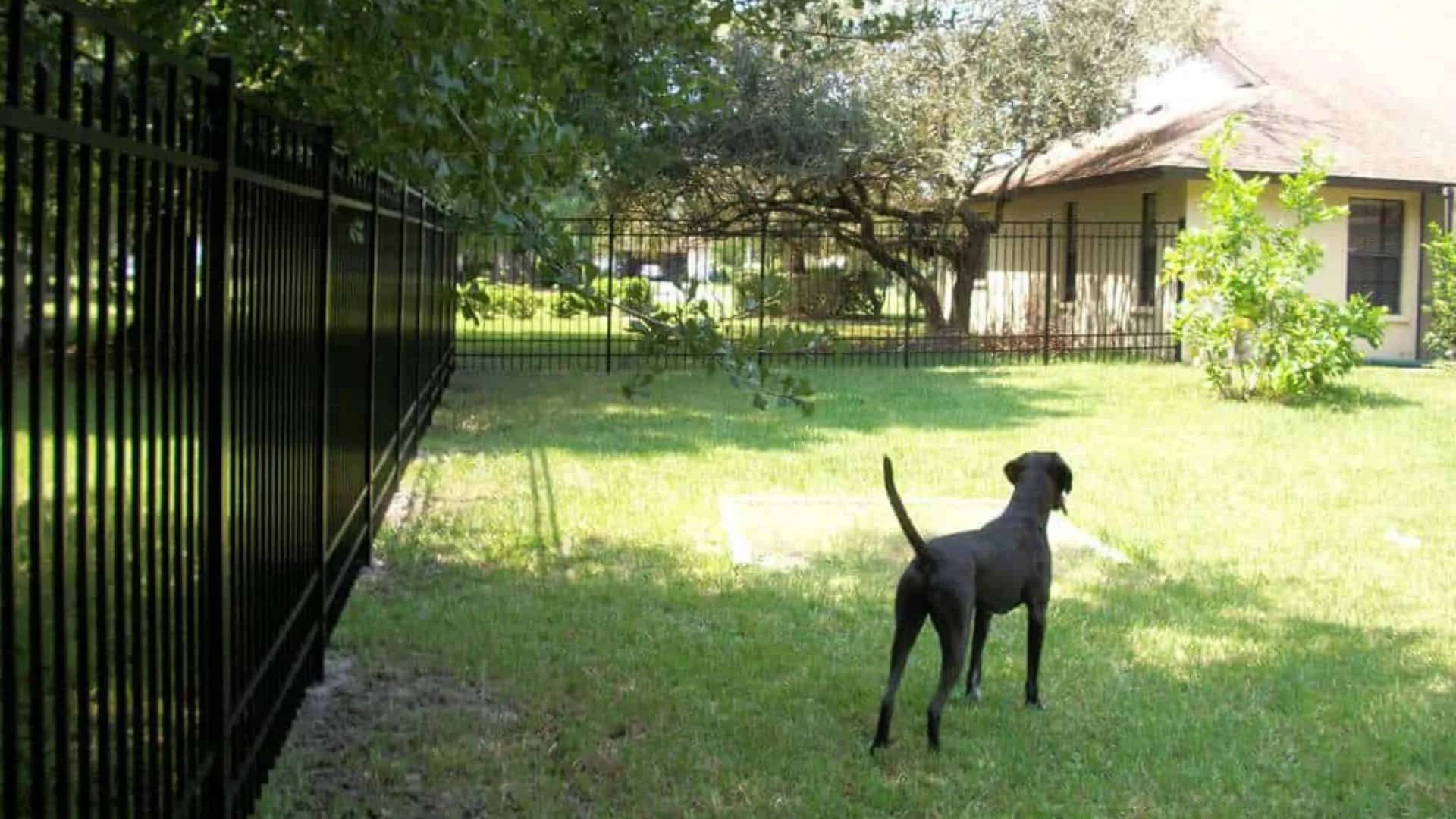 Jacksonville fence builders