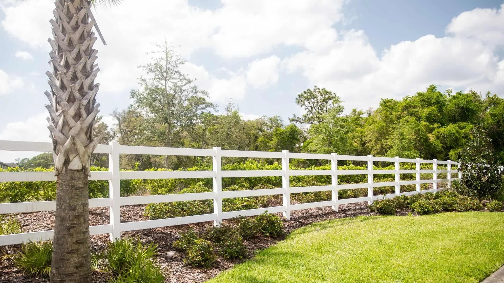 Top Florida Quality Fence Types for Homes in Naples & Cape Coral