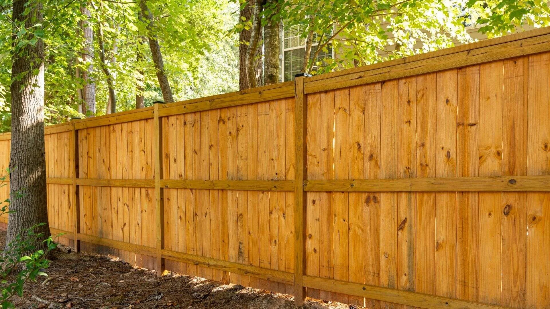 Most Trusted Cedar Fence Installers Near Me